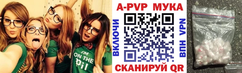 kraken онион  Кропоткин  A PVP СК  сколько стоит 