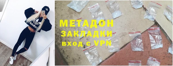 шишки Белокуриха