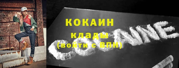шишки Белокуриха