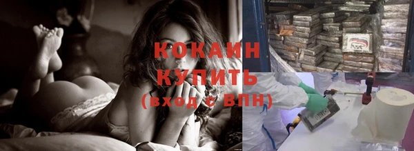 шишки Белокуриха
