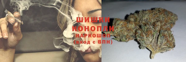 шишки Белокуриха