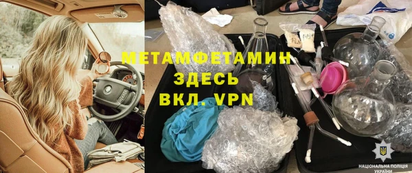 шишки Белокуриха