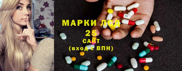 шишки Белокуриха