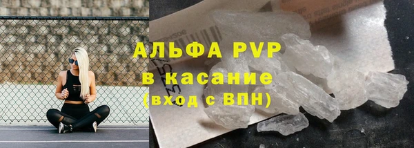шишки Белокуриха