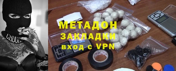 шишки Белокуриха