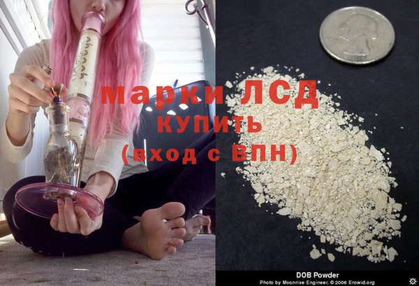 шишки Белокуриха
